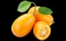 kumquat