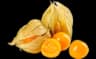 physalis