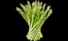 asperge verte