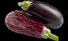 aubergine