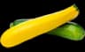 courgette