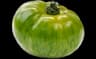 tomate green zebra