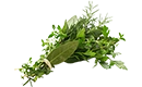 herbes