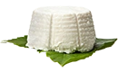 ricotta