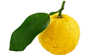 yuzu