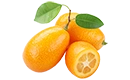 kumquat