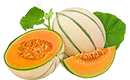 melon