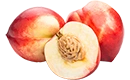 nectarine