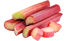 rhubarbe