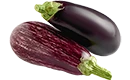 aubergine