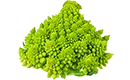 chou romanesco