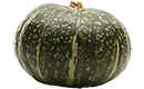 courge musquée