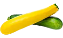 courgette