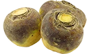 rutabaga