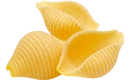 conchiglioni