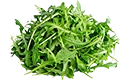 roquette