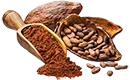 cacao