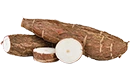 manioc