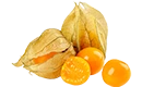 Recettes avec physalis